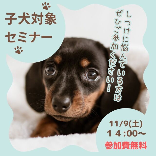 🐶子犬対象のセミナーを行います🐶
日頃からしつけに悩んでいる方や、パピー教室に参加してみたかった！という飼い主様は是非ご参加ください🧑‍🏫

参加予約、お問い合わせは当院スタッフまで☎️

#たがわ動物クリニック　#田川市　#子犬　#しつけ教室　#パピー教室開催